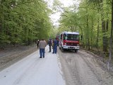 Maibaum_2016 (6).JPG